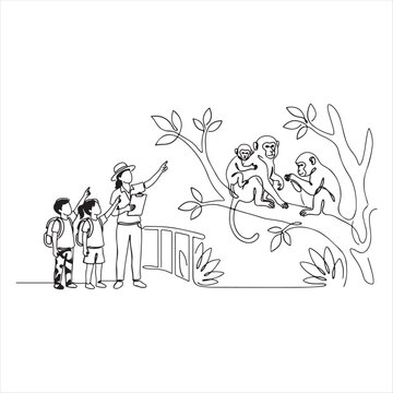 People looking at monkeys on a tree branch in a zoo or wildlife park setting