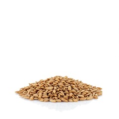 Fototapeta premium A clean studio shot emphasizing a small isolated pile of healthy, natural, dry seeds resting directly on a seamless white background, snack, health, plant