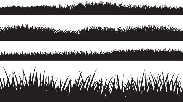 Abstract black and white grass texture lines