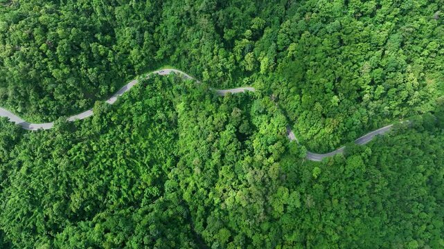 Transportation route passing through dense forest from aerial perspective. Great commercial background for sustainability campaigns, eco investment and environmental business.