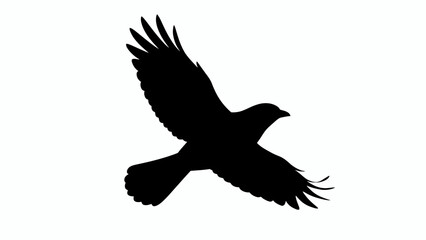 Black crow silhouette in flight, flying raven bird vector icon, dark feathered bird shape isolated on white, wild crow soaring graphic element EPS © Mim