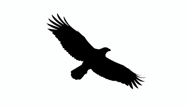 Majestic eagle silhouette soaring in flight, black hawk bird of prey vector icon, wild falcon flying with spread wings on white background EPS