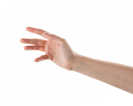 Female hand reaching something isolated on white