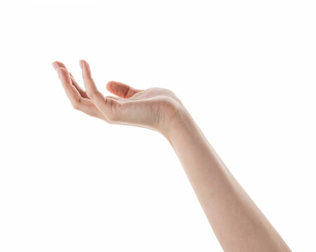Female hand hold something isolated on white