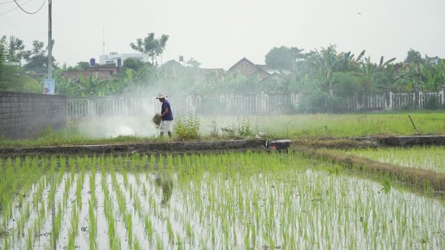 A person who is clearing a field of weeds, and immediately sets it on fire