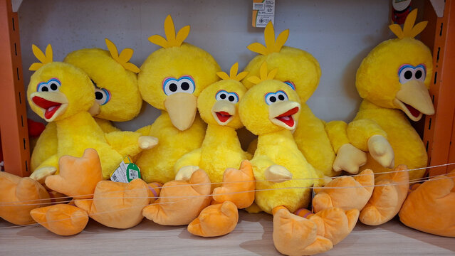 Row of yellow Big Bird plush dolls from Sesame Street show displayed on a retail shelf on May 9, 2026 in Bangkok, Thailand.