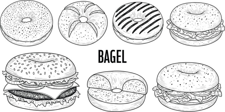 Collection of hand drawn vintage bagel vector illustrations including plain bagels sesame seeds and sandwiches for bakery menu.