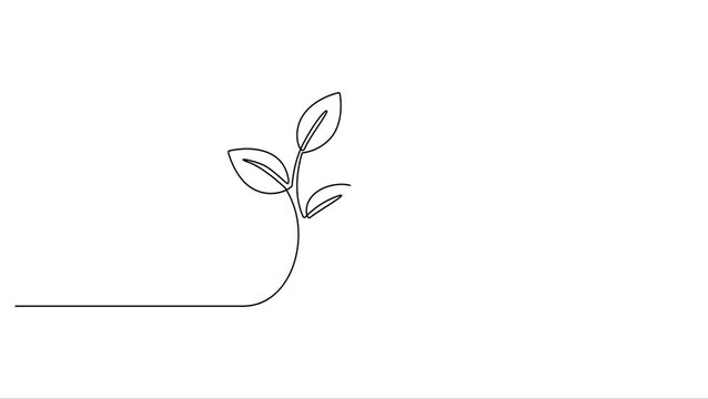 Animated self drawing Continuous one line drawing of Minimalist plant sprout, simple line art, growth symbol, white background