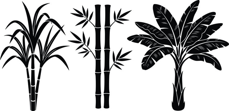 Black Silhouette Tropical Plant Icon Set with Sugar Cane, Bamboo, and Banana Tree for Nature, Ecology, and Botanical Designs