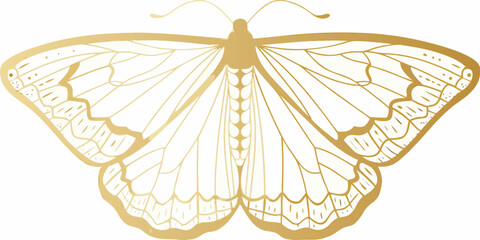 Golden butterfly silhouette on a white background © Shobuj