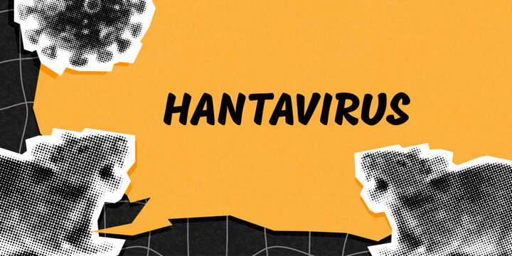 the threat of hantavirus halftone collage banner. grunge modern cut out elements. ripped paper style, dotted illustration. trendy background with rat, rodent, virus