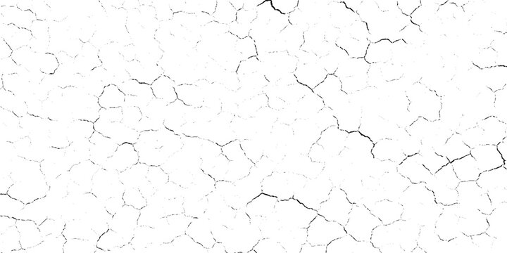Vector illustration of cracked earth or dry mud grunge  texture background with black cracks on white surface for design and decoration