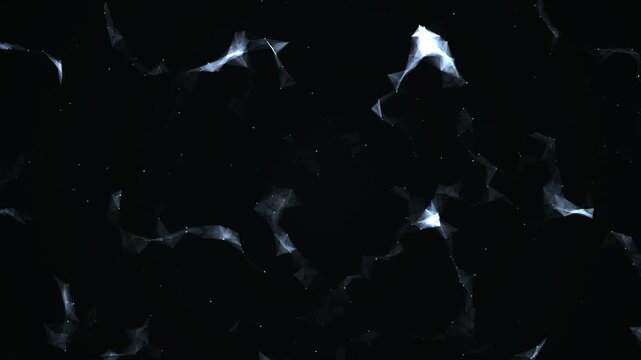 Soft white luminous forms drift across a solid black background creating an elegant atmosphere for website banners.