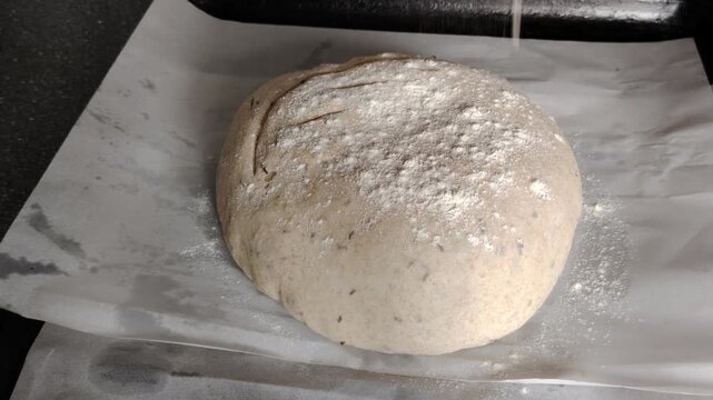 Baker sprinkling white flour over raw sourdough bread dough on parchment paper before baking.