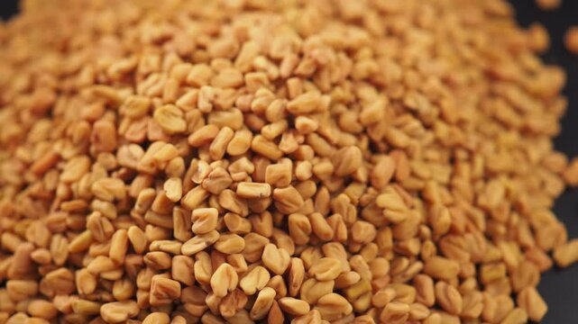 Close Up of Fenugreek Seeds Pile .