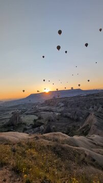 Sunrise hot air balloons over valley, wildflower foreground and golden glow, serene dawn flight, panoramic sky and tranquil