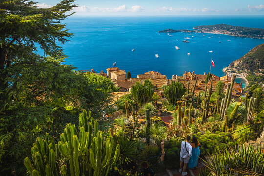 View with various tropical plants from the botanical garden, Eze