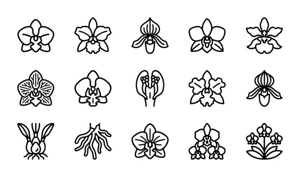 Orchid Icons Set: Delicate Floral Vector Graphics, Botanical Line Art, Tropical Flower Collection