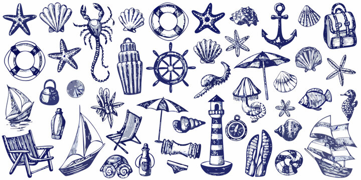 Nautical illustrations collection with seashells starfish and seaside elements