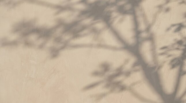 The shadow of a tree on a beige wall.