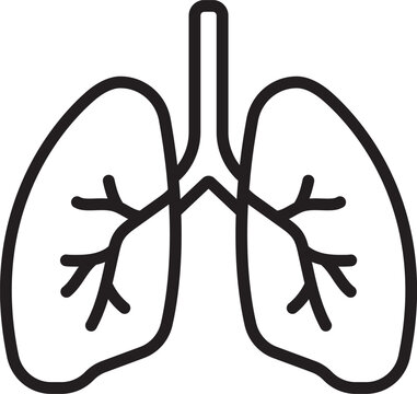 Lungs icon in linear style.