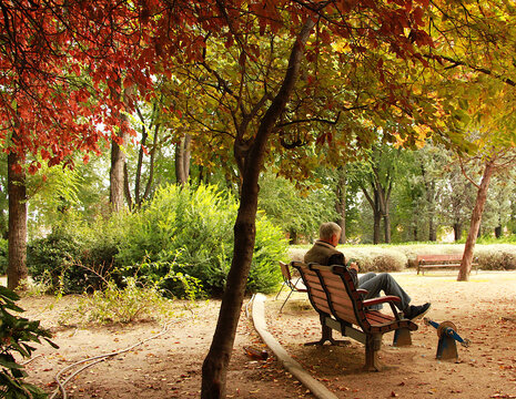 Abuelo en pedaleador est&aacute;tico en parque m&aacute;quina de pedales activo y aparato pedalear sentado y viejo ejercicio movilidad sedentariosaludable tercera edad con &aacute;rboles y hojas de oto&ntilde;o de colores 