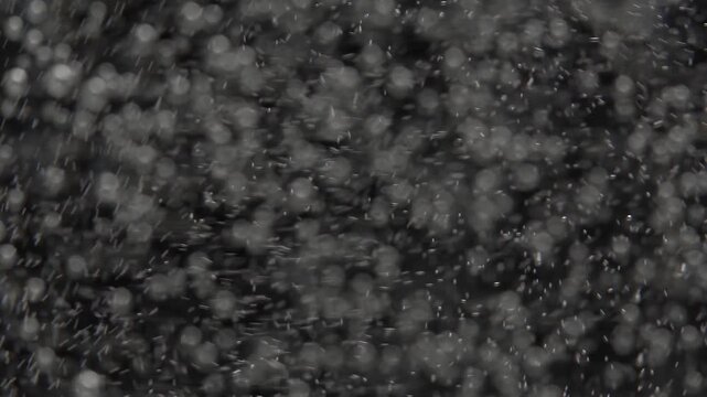 Macro shot of rapidly moving bubbles in a glass of water