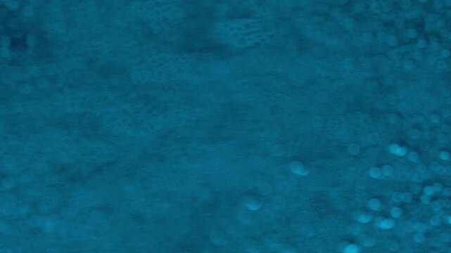 Many bubbles in a transparent glass of water in macro view on a blue background, bubbles in a glass with a blurred background