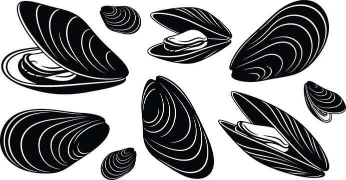 Set of black and white mussel shells isolated on white background