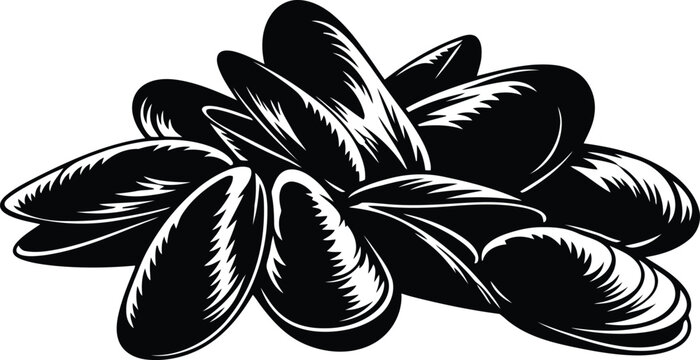 Black and white illustration of a pile of fresh mussels