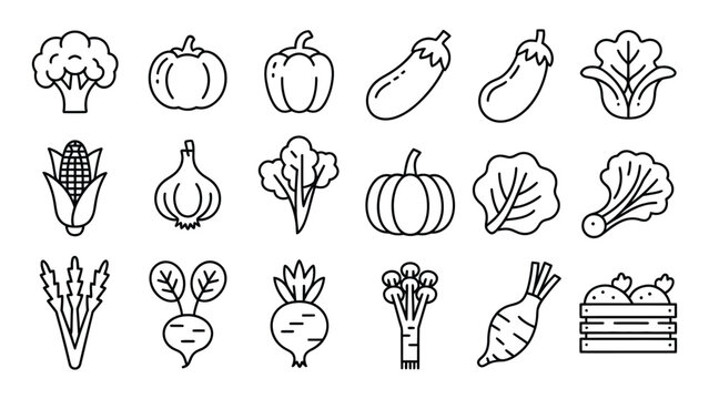 Collection of various vegetables and fruits illustrated in minimalist line art style