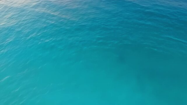 Crystal Clear Beach In Redang Island, Malaysia