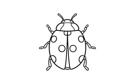 Black and white line of a ladybug with spots beetle