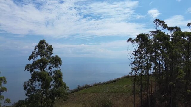 Aerial view of hillside trees and Lake Toba landscape in North Sumatra