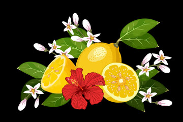 Illustration with lemons and a red flower.Vector illustration with a composition of lemons and hibiscus flower on a black background. © Инна Федорова