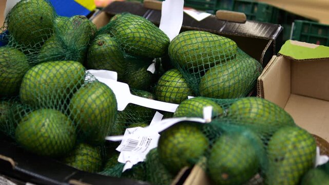 Male customer's hand selecting a package of fresh, ripe avocados from a display box in a supermarket. The green fruits are packed in a net bag for sale in the produce section of the grocery store