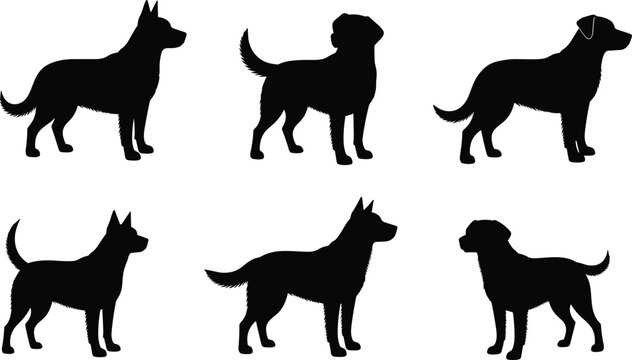 Dog vector collection. Dog silhouettes set for pets, animals, and creative projects. Realistic dog shapes for educational, decorative, and canine designs.