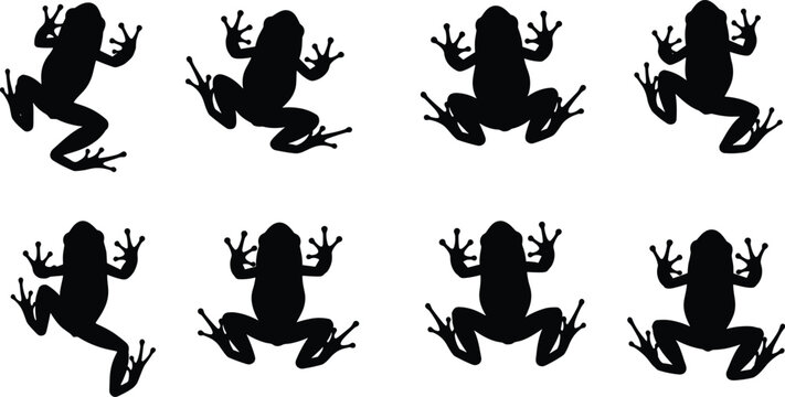 Frog icons in jumping and resting poses. Vector Frog silhouettes for wildlife, amphibians, and educational projects. Creative Frog designs for nature, biology, and science studies.