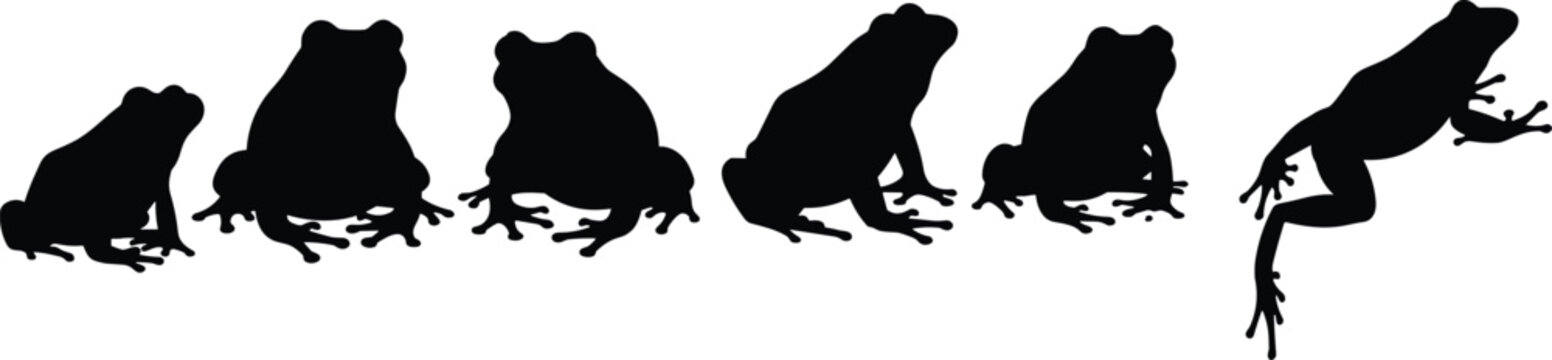 Frog illustrations in sitting and jumping poses. Vector Frog silhouettes and icons for wildlife, amphibian studies, and educational projects. Creative Frog designs for nature and biology.