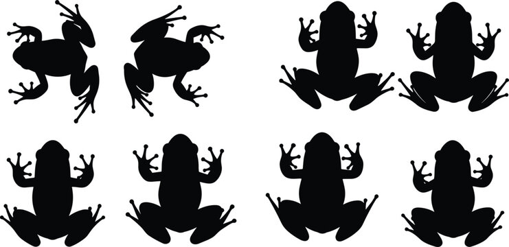 Frog vector silhouettes set. Frog shapes and icons for nature, biology, and amphibian studies. Creative Frog designs for educational and decorative projects.