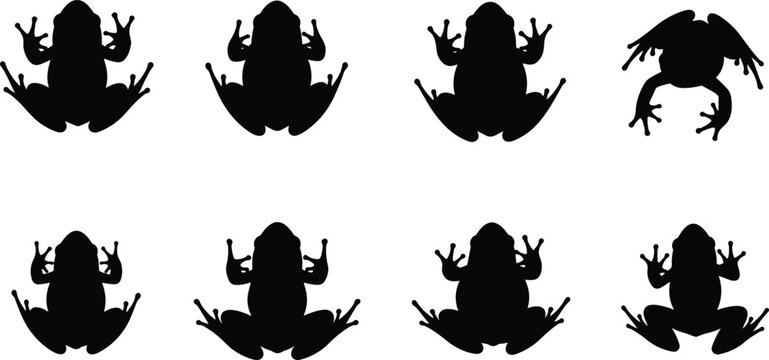 Frog vector silhouettes set. Frog shapes and icons for nature, biology, and amphibian studies. Creative Frog designs for educational and decorative projects.
