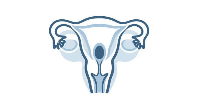 Female Reproductive System Anatomical Illustration