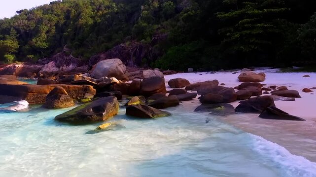 Moss on large stones by the beach in Redang Island, Malaysia