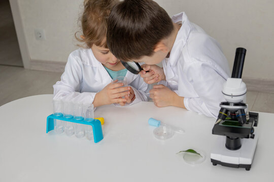 Children scientists examining water sample with magnifying glass in lab