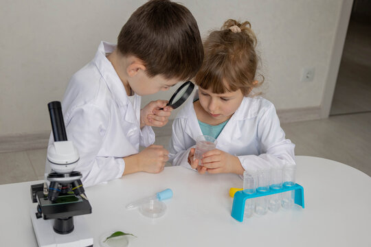 Children scientists examining water sample with magnifying glass in lab