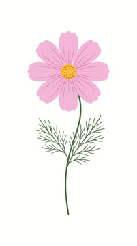 The illustration dada 31 depicts a pink flower with leaves.