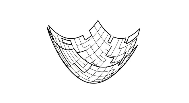 Abstract 3D Wireframe Parabolic Surface Grid Design