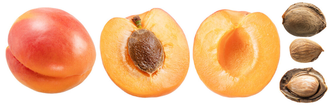 Collection of apricots and apricot halves isolated on white background. File contains clipping paths.