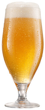 Glass of chilled light beer with beer foam head isolated on white background. Clipping path.