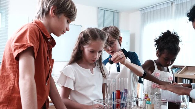 A group of boys and girls of various nationalities stand in front of their classmates learning science, mixing chemicals and holding test tubes in their classroom at school.
